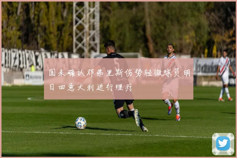国米确认邓弗里斯伤势轻微球员明日回意大利进行理疗