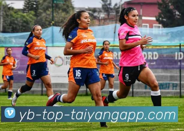 太阳城平台生态图